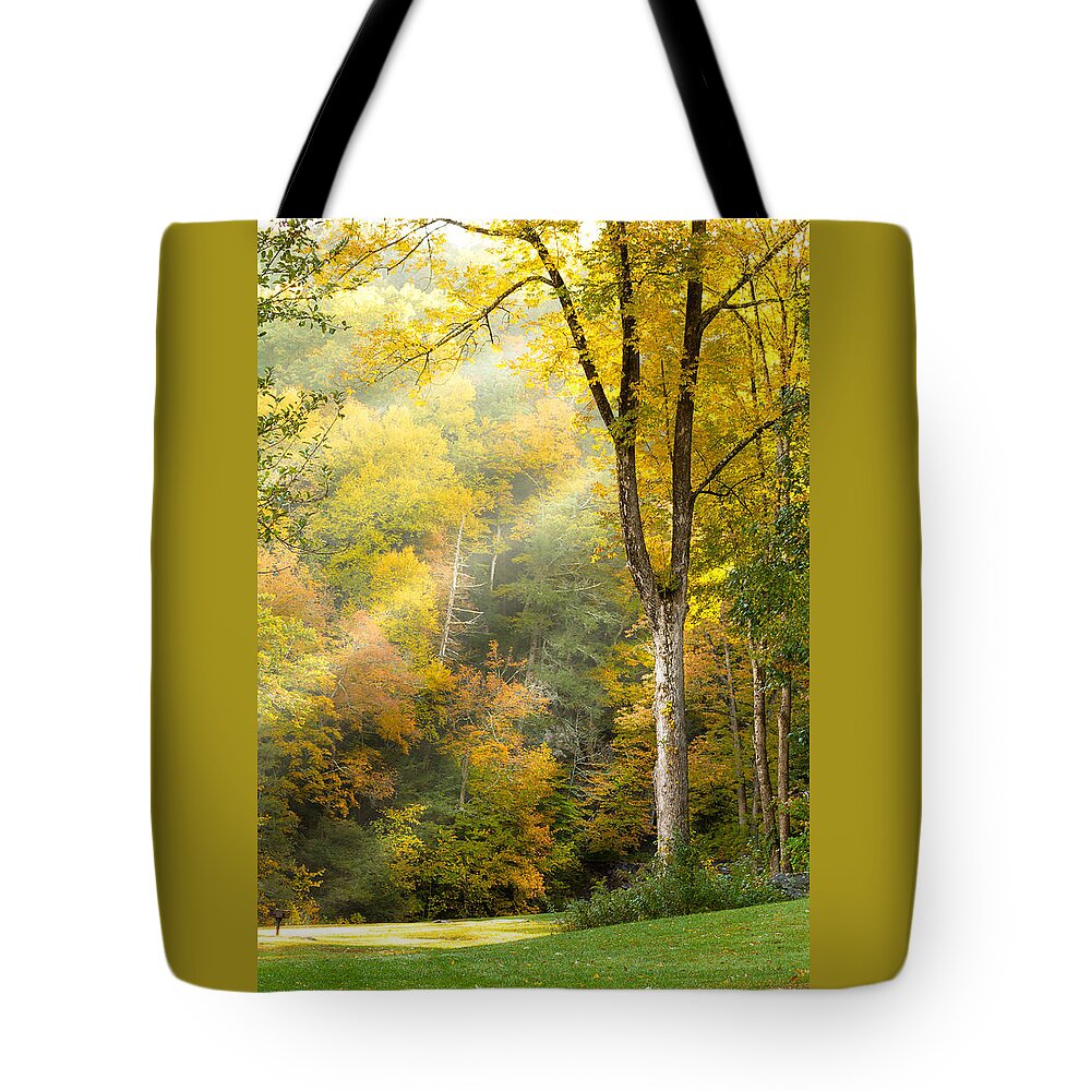 Autumn Tote Bag featuring the photograph Autumn Morning Rays by Brian Caldwell