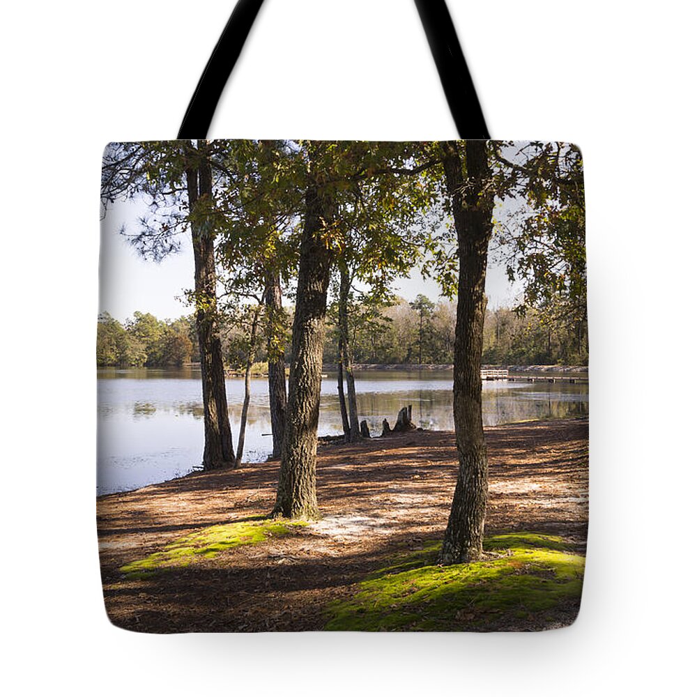 Oak Tote Bag featuring the photograph Autumn Oaks on the Mossy Lakeshore by MM Anderson