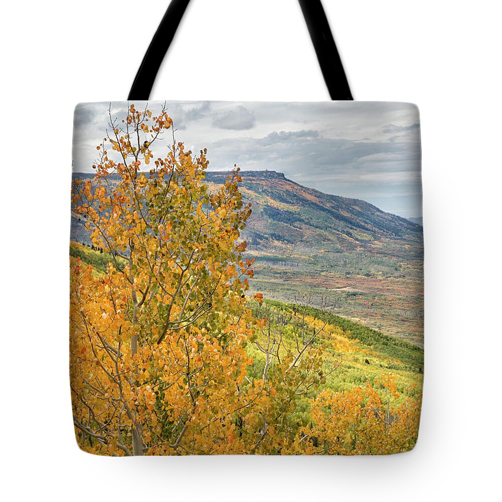 Grand Mesa Tote Bag featuring the photograph Autumn On The Mesa by Denise Bush