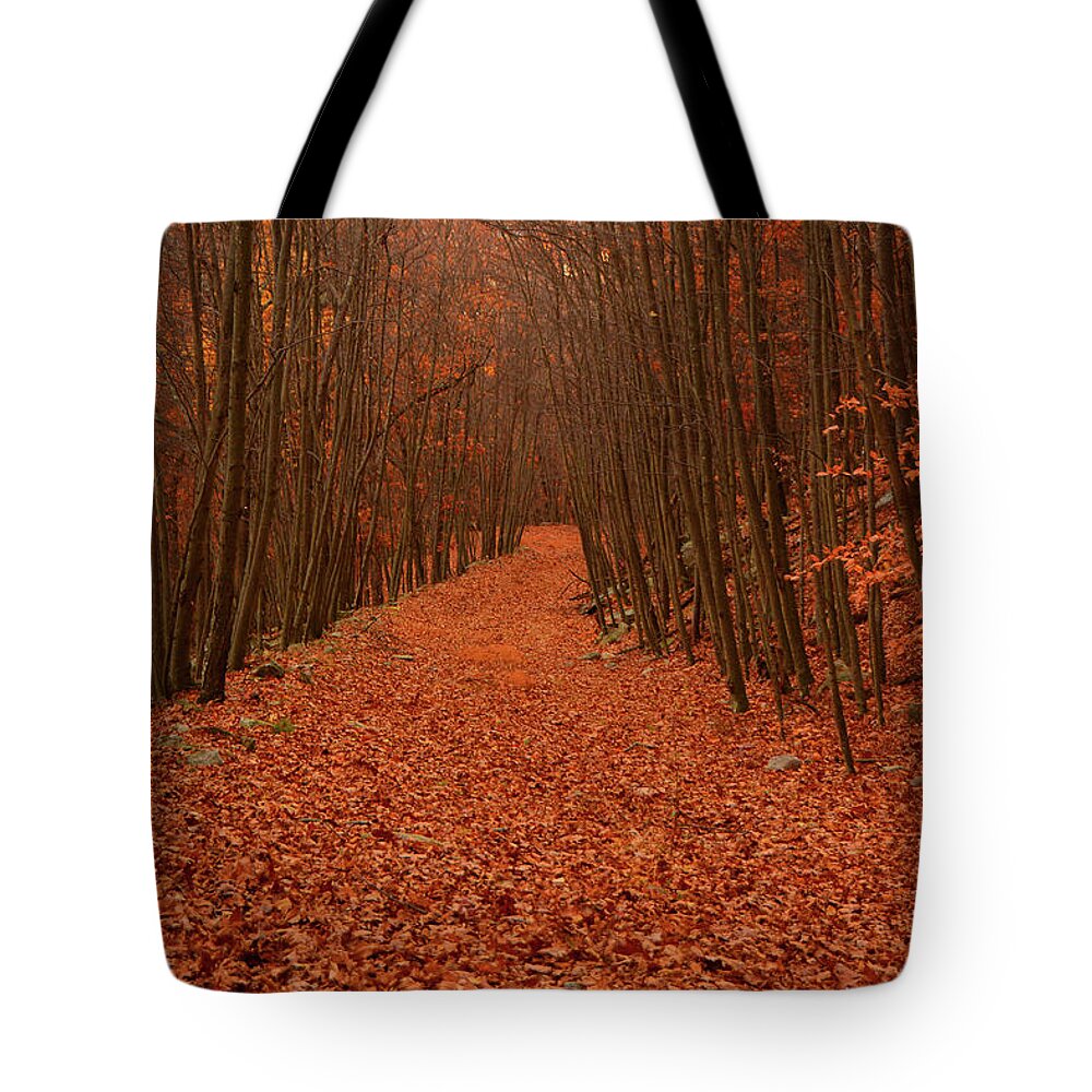 Autumn Passage Tote Bag featuring the photograph Autumn Passage by Raymond Salani III