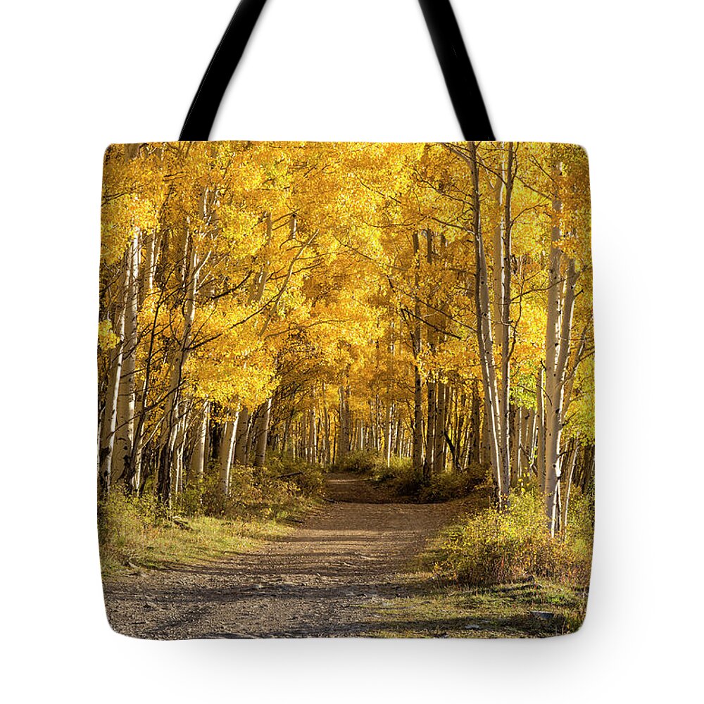Autumn Tote Bag featuring the photograph Autumn Path by Denise Bush