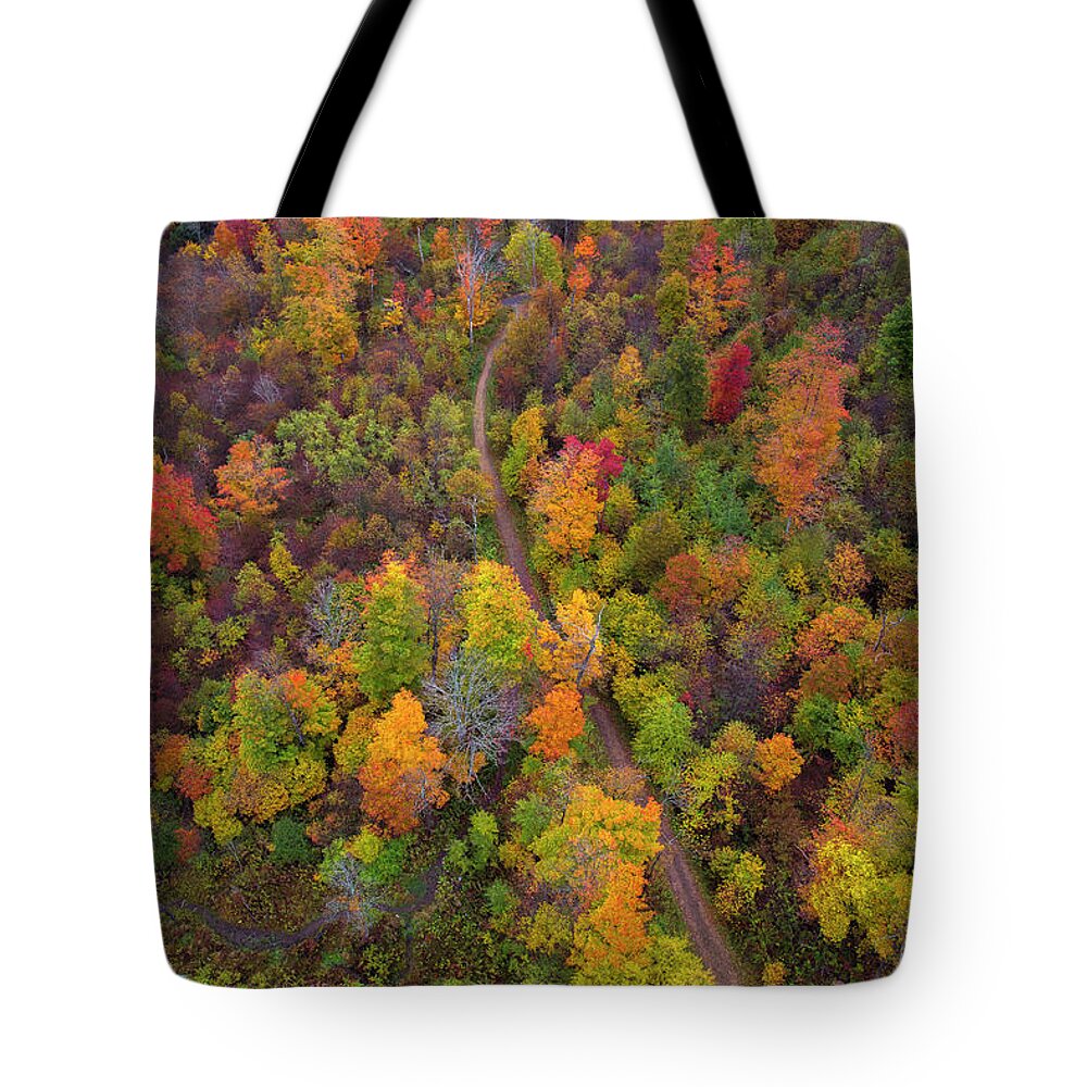 Fall Tote Bag featuring the photograph Autumn Path by Mark Papke