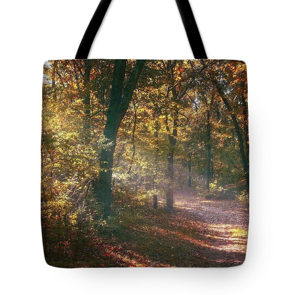 Autumn Tote Bag featuring the photograph Autumn Path by Scott Norris