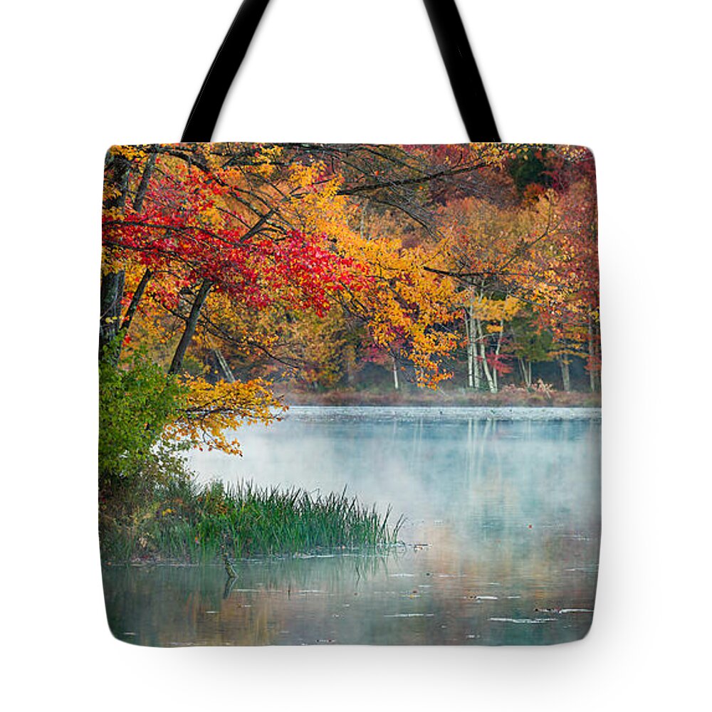 Landscape Tote Bag featuring the photograph Autumn Pond by Brian Caldwell
