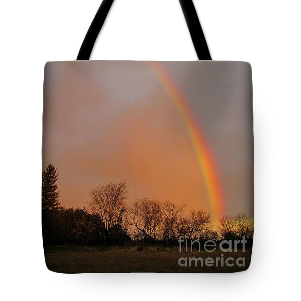 Cheryl Baxter Photography Tote Bag featuring the photograph Autumn Rainbow by Cheryl Baxter