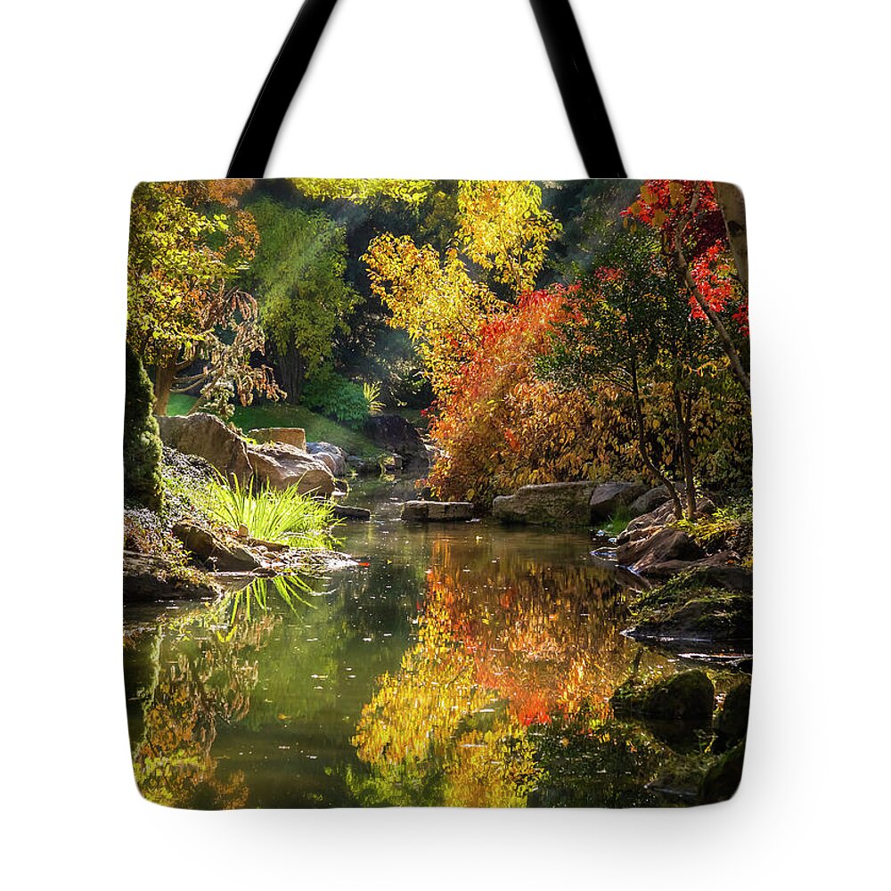 5dmkiv Tote Bag featuring the photograph Autumn Reflections by Mark Mille