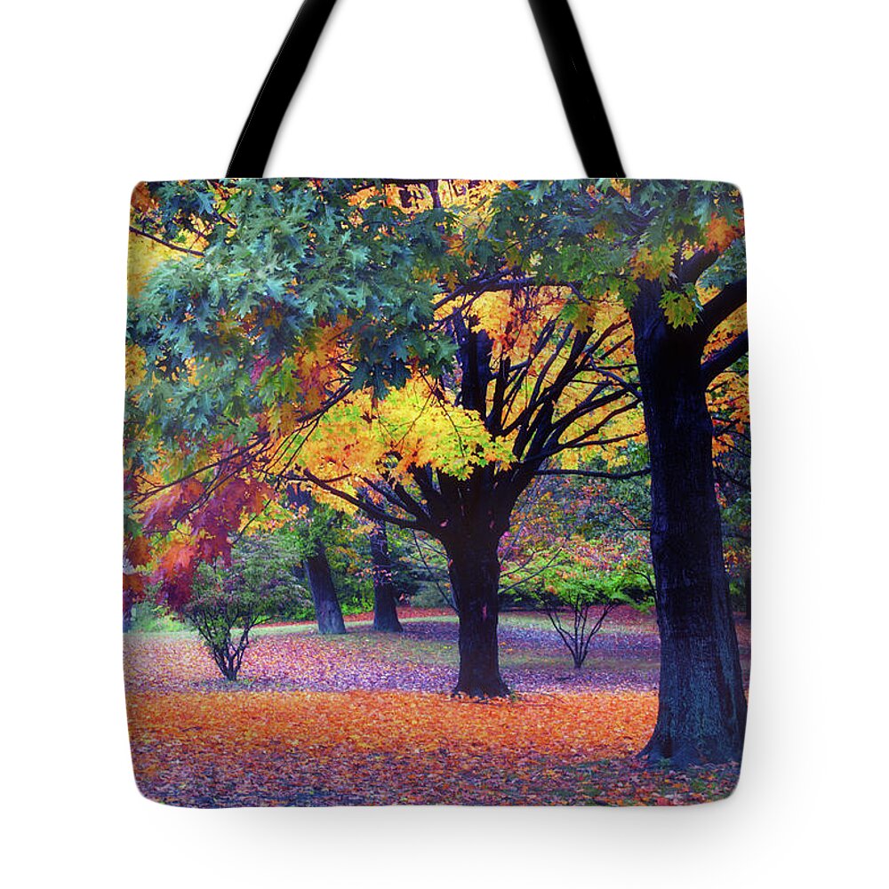 Autumn Tote Bag featuring the photograph Autumn Symphony by Jessica Jenney