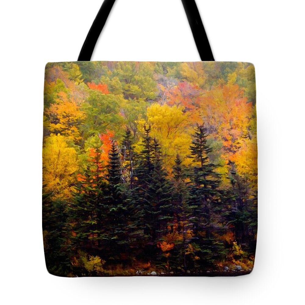 Autumn Shore Tote Bag featuring the photograph Autumn Shore by Frank Wilson
