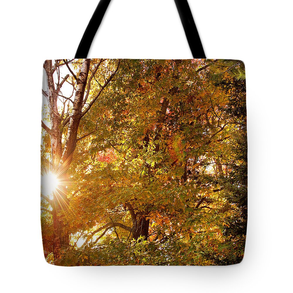 Autumn Sunset Print Tote Bag featuring the photograph Autumn Sunset Print by Gwen Gibson