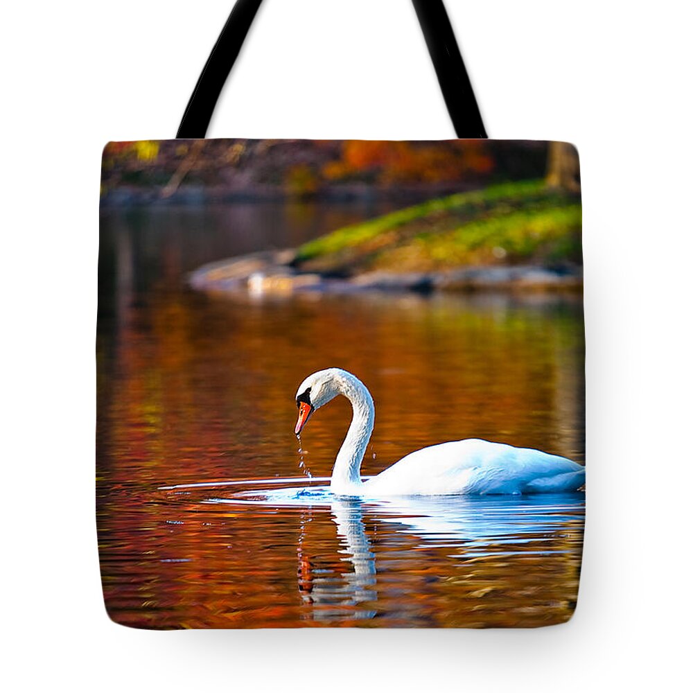 Cincinnati Tote Bag featuring the photograph Autumn Swan Lake by Keith Allen