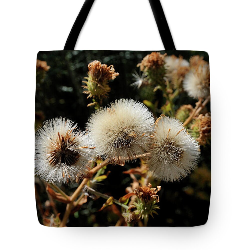Nature Tote Bag featuring the photograph Autumn Thistle by Ron Cline
