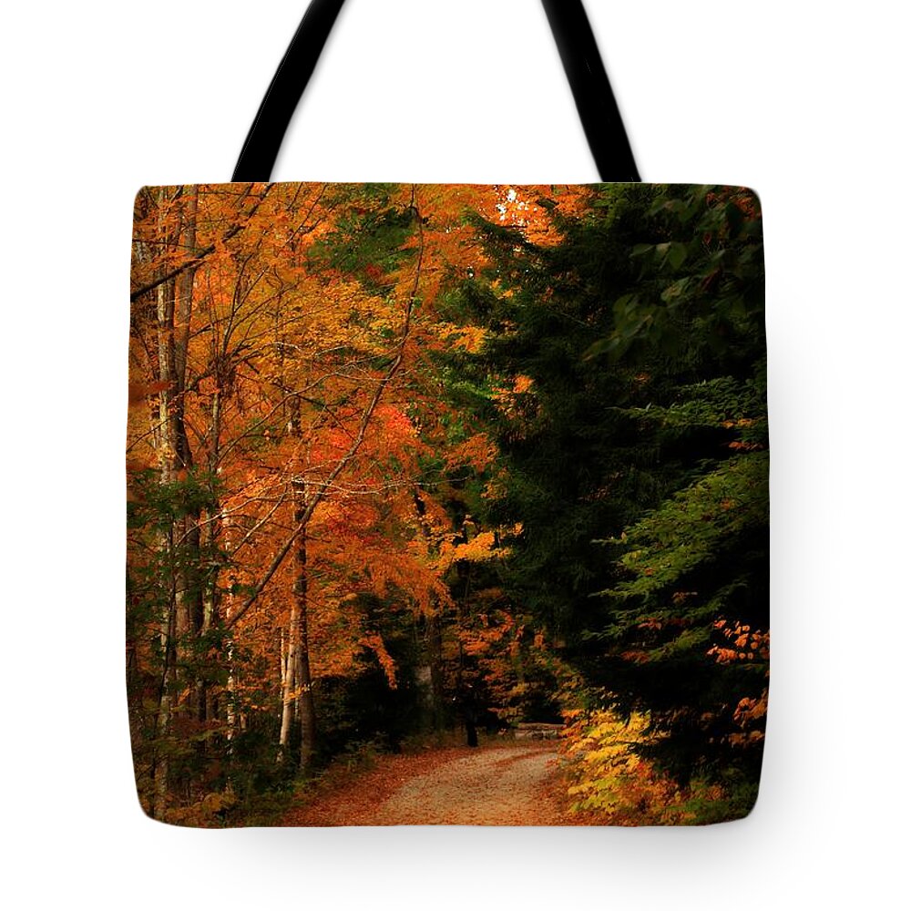 Landscape Tote Bag featuring the photograph Autumn Trail by Marcia Lee Jones