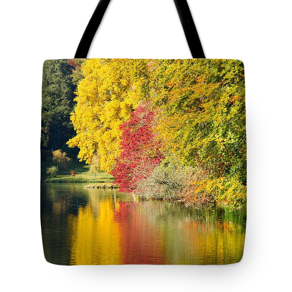 Autumn Tote Bag featuring the photograph Autumn trees by Colin Rayner