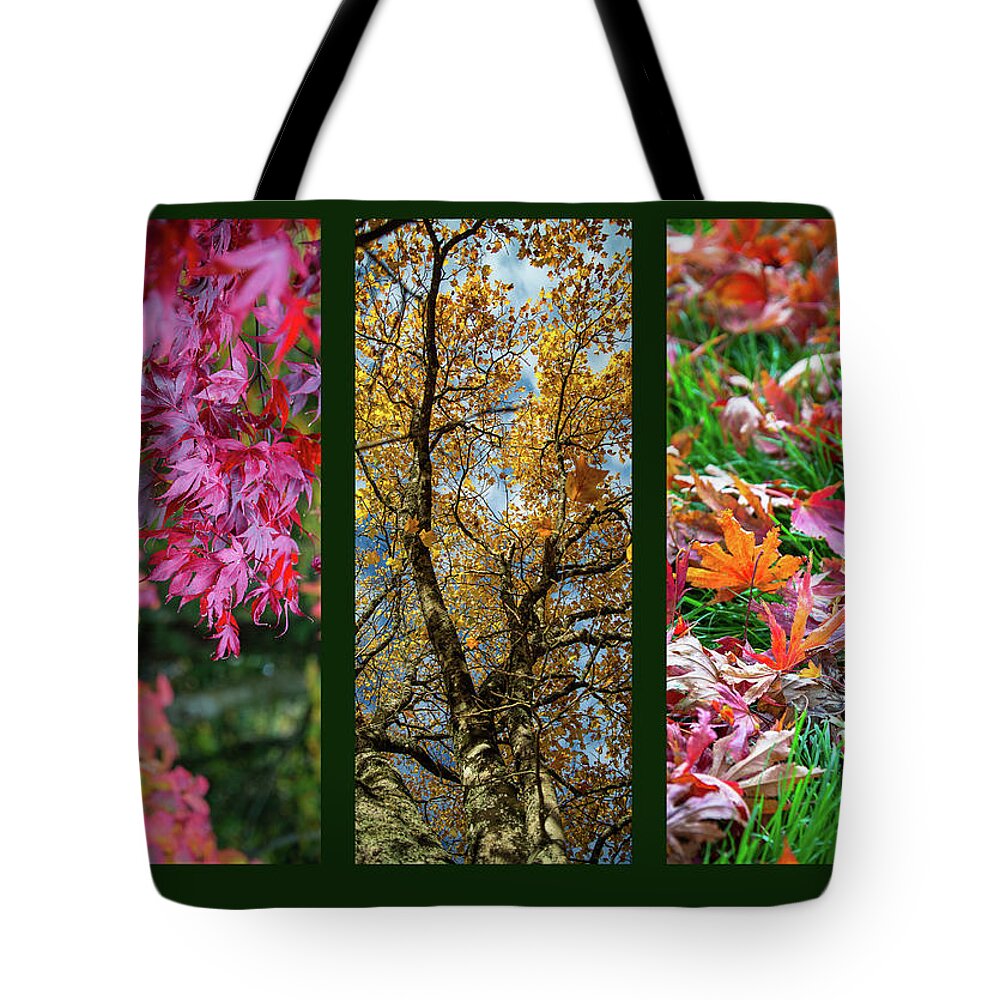 Triptych Tote Bag featuring the photograph Autumn Triptych by Martina Fagan