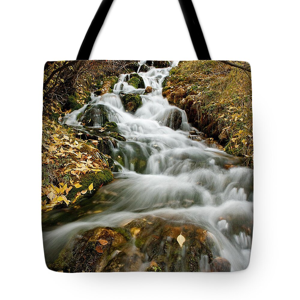 Water Tote Bag featuring the photograph Autumn Waterfall by Scott Read