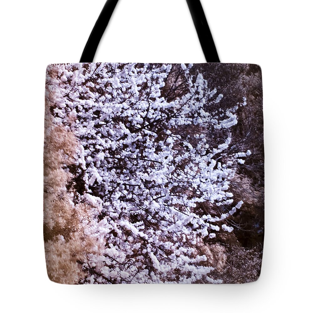 Nature Tote Bag featuring the photograph Autumnal spring in London by Helga Novelli
