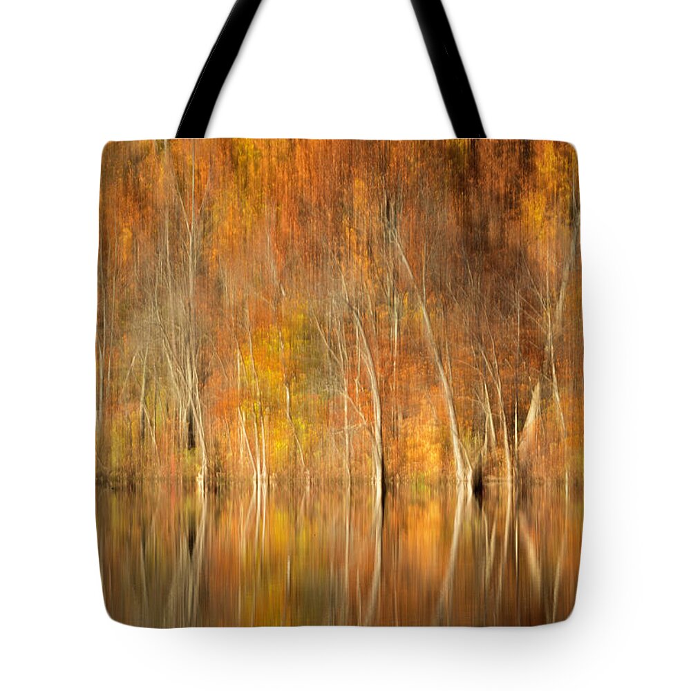 Color Tote Bag featuring the photograph Autumns Final Palette by Everet Regal