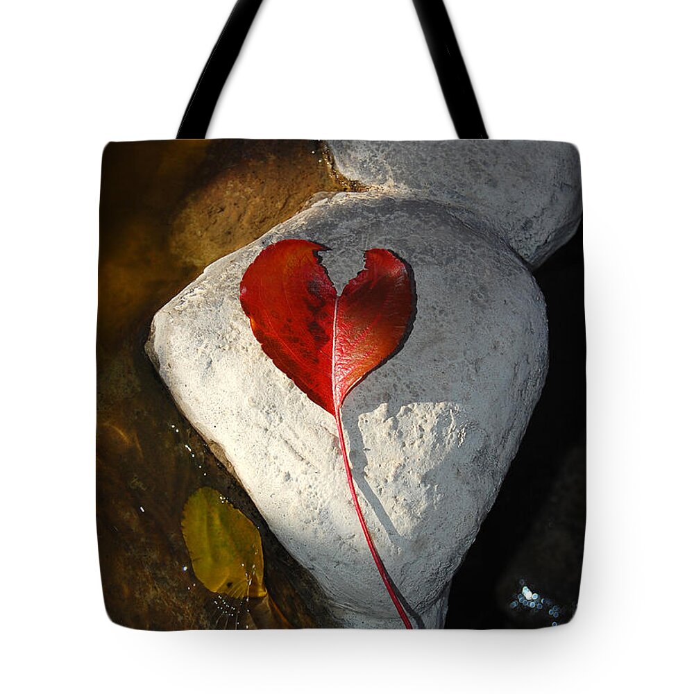 Heart Tote Bag featuring the photograph Autumn's Love and Serenity by Debra Thompson