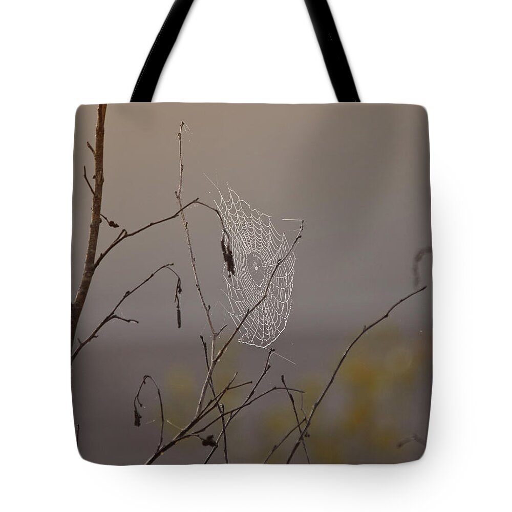 Spider Web Tote Bag featuring the photograph Autumns Web by Sue Capuano