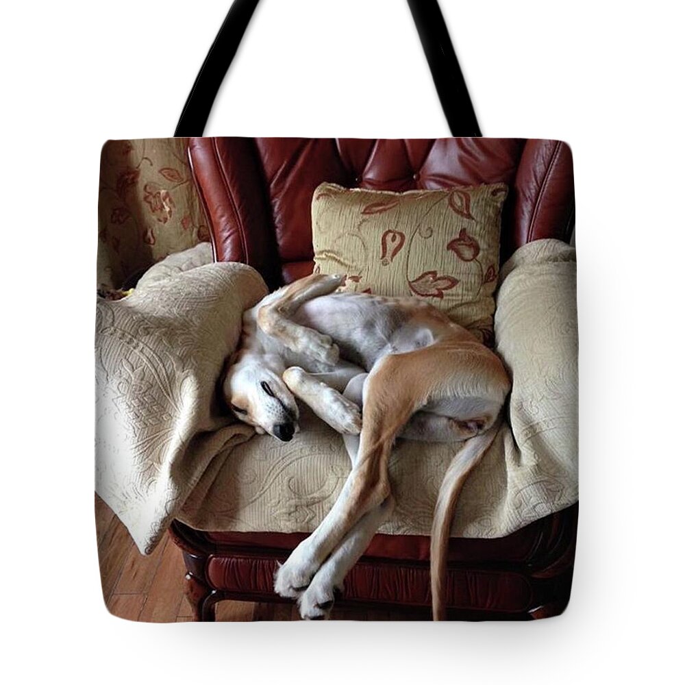 Persiangreyhound Tote Bag featuring the photograph Ava - Asleep On Her Favourite Chair by John Edwards