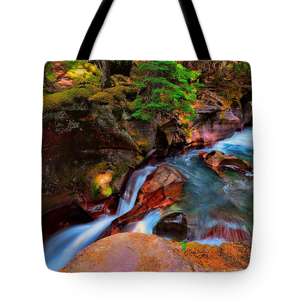 Avalanche Creek Tote Bag featuring the photograph Avalanche Creek by Greg Norrell