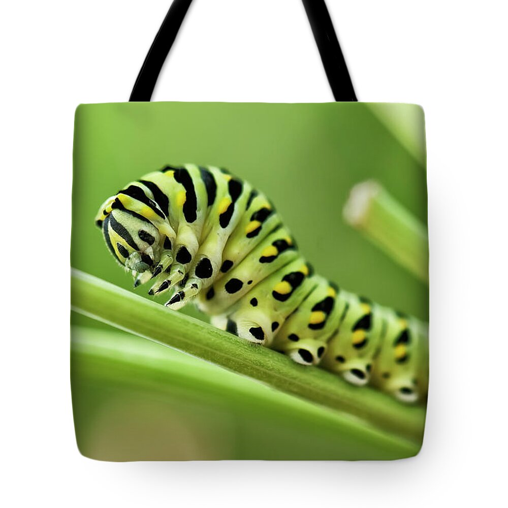Butterfly Tote Bag featuring the photograph Avant Que Je Grandisse by Jean-Pierre Ducondi