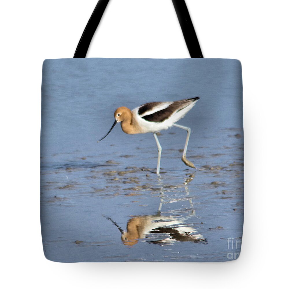  Bird Tote Bag featuring the photograph Avocet and reflection by Jeff Swan