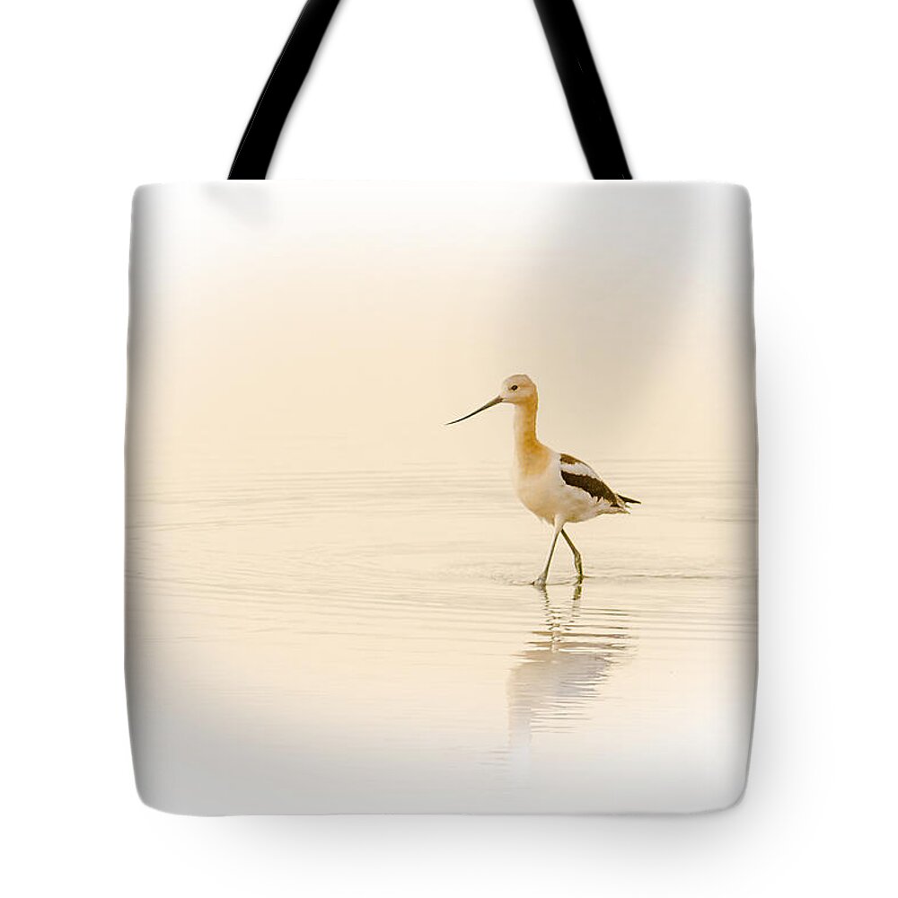 Bird Tote Bag featuring the photograph Avocet Walk by Yeates Photography