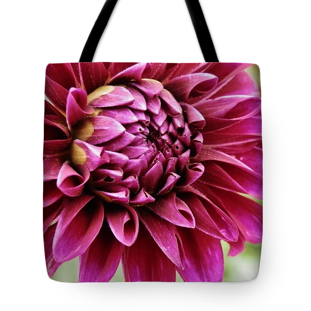 Flower Tote Bag featuring the photograph Awesome Dahlia by VLee Watson