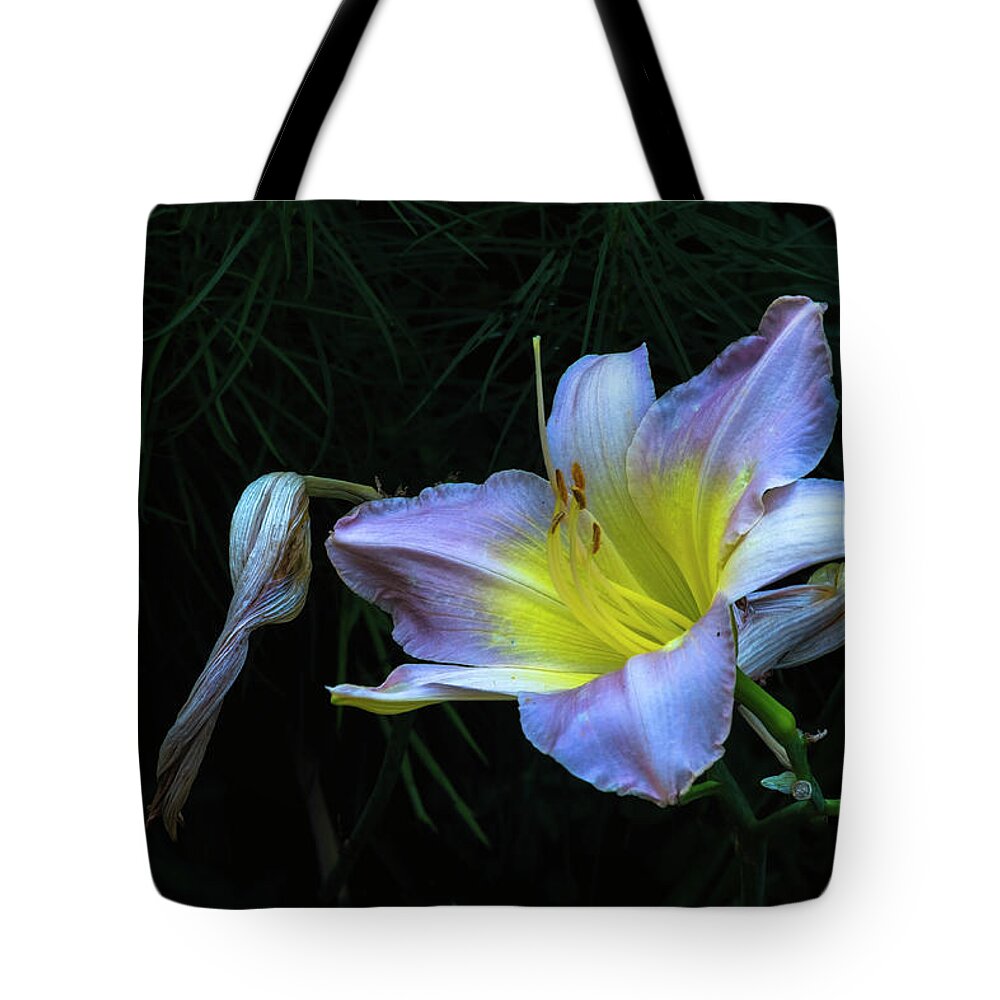 Hayward Garden Putney Vermont Tote Bag featuring the photograph Awesome Daylily by Tom Singleton