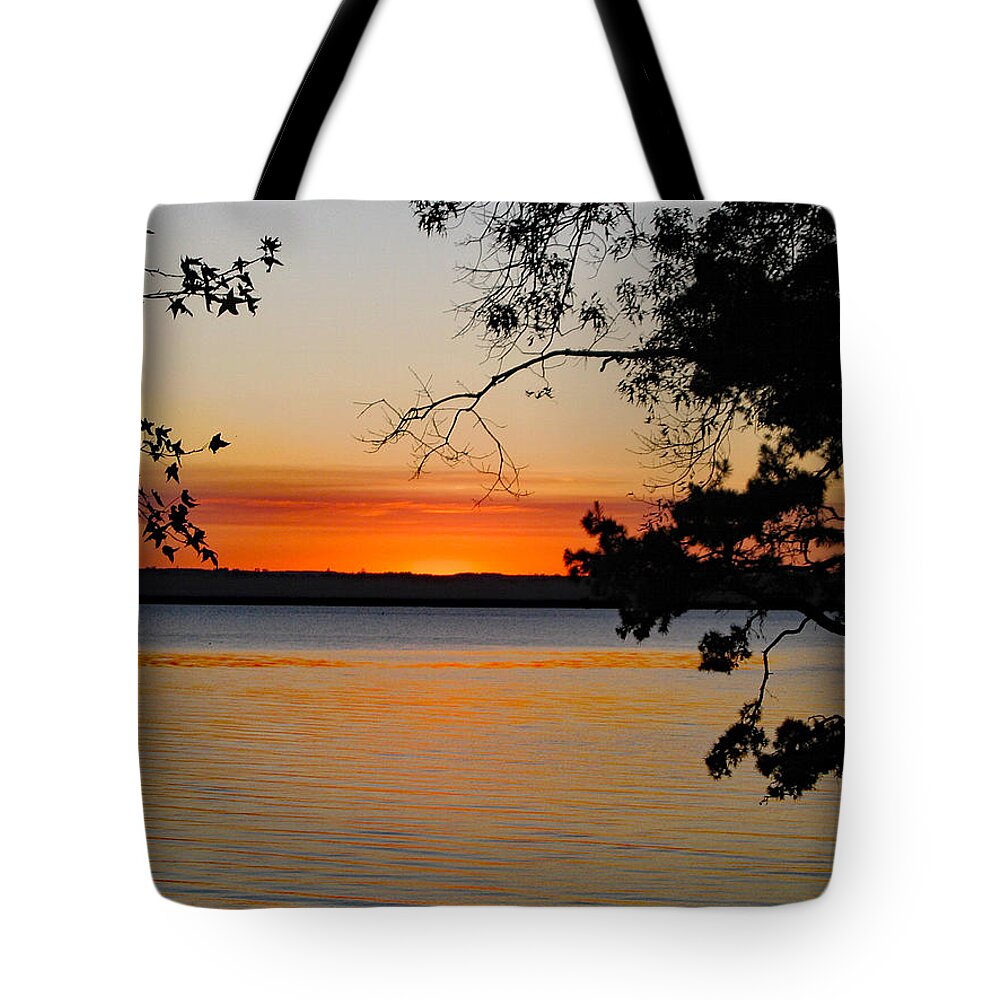 Nature Tote Bag featuring the photograph Awesome by DB Hayes