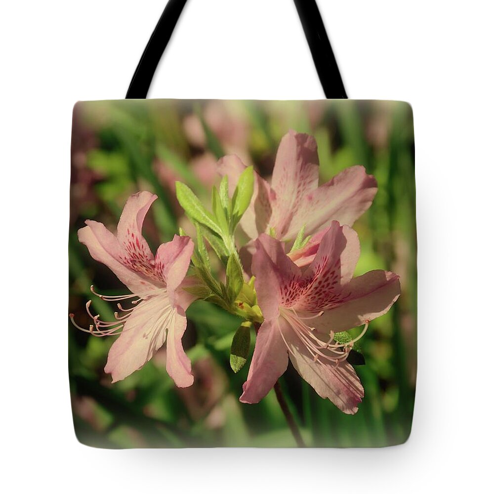 Azaleas Tote Bag featuring the photograph Azaleas Playing In The Sun by Angie Tirado