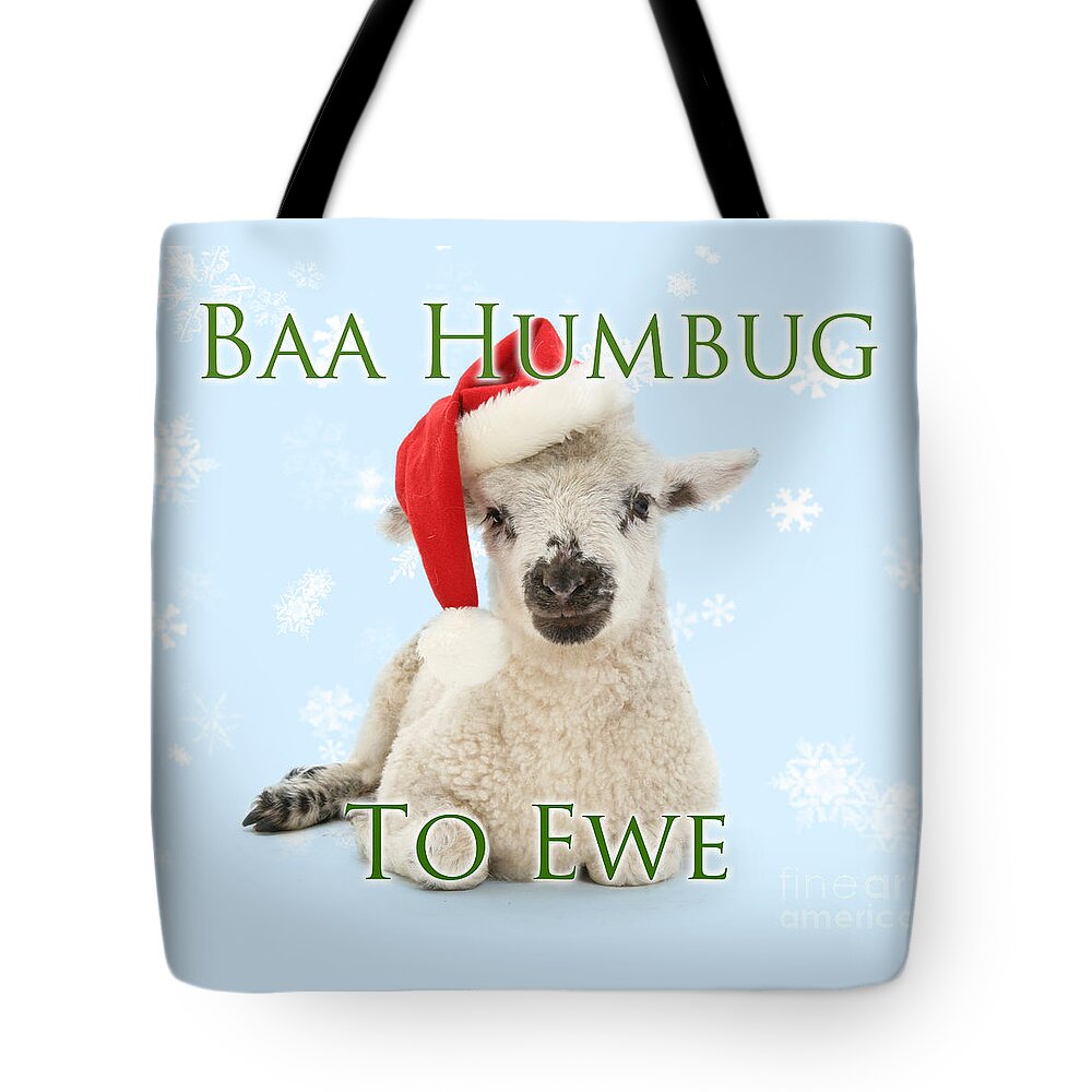Father Christmas Tote Bag featuring the photograph Baa Humbug to Ewe by Warren Photographic