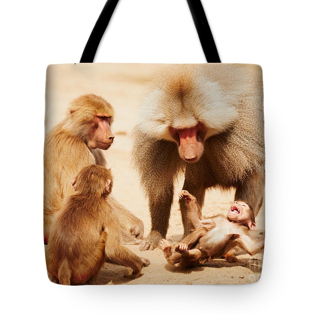 Africa Tote Bag featuring the photograph Baboon family having fun in the desert by Nick Biemans
