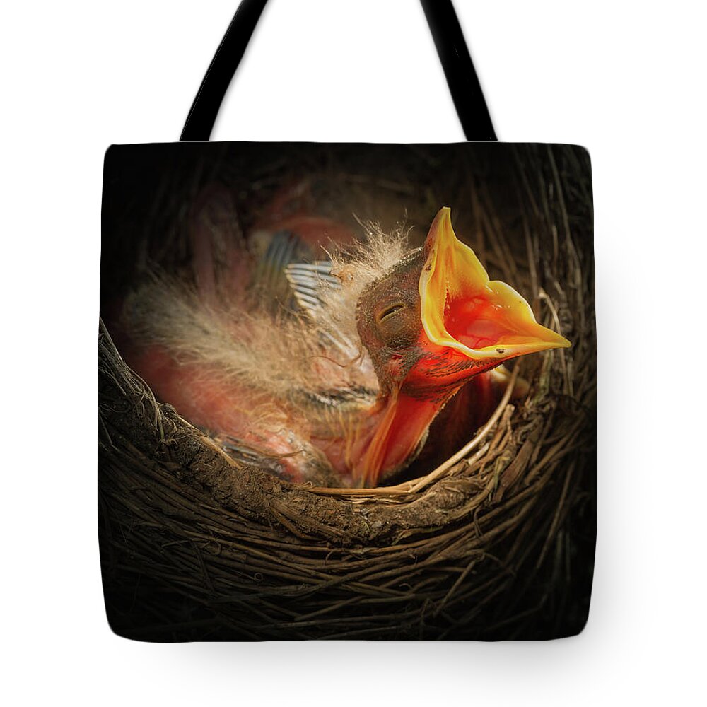 Age Tote Bag featuring the photograph Baby bird in the nest with mouth open by William Lee