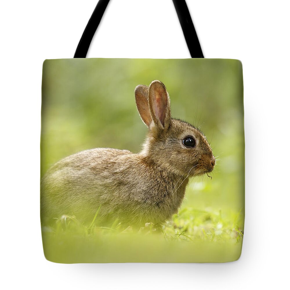 Afternoon Tote Bag featuring the photograph Baby Bunny Having Lunch by Roeselien Raimond