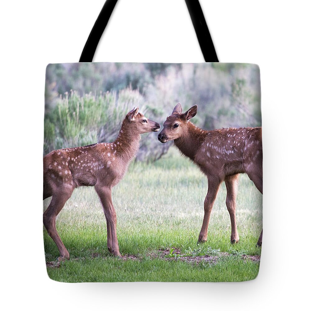 Elk Tote Bag featuring the photograph Baby Elk by Wesley Aston