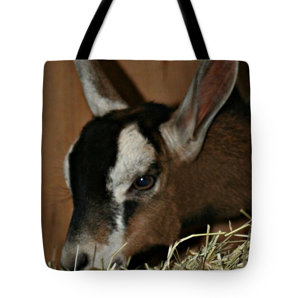 Animal Tote Bag featuring the photograph Baby Girl by Barbara S Nickerson