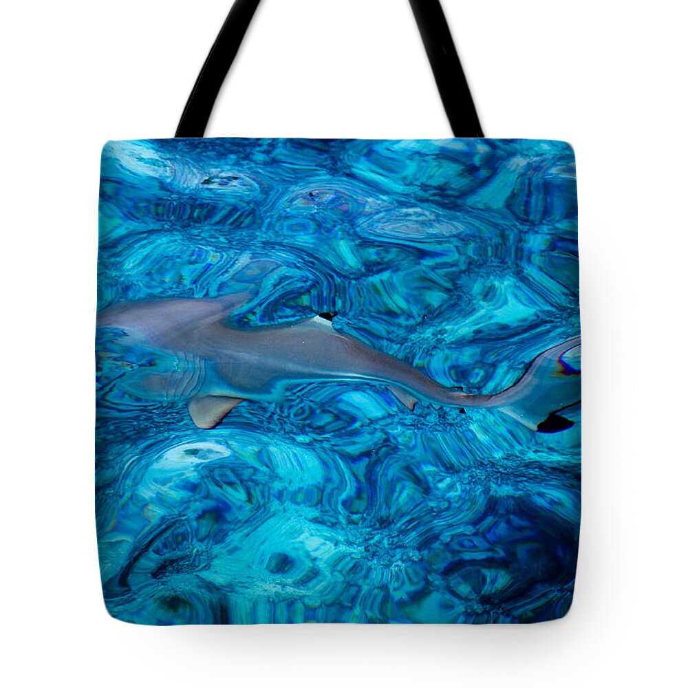 Nature Tote Bag featuring the photograph Baby Shark in the Turquoise Water. Production by Nature by Jenny Rainbow