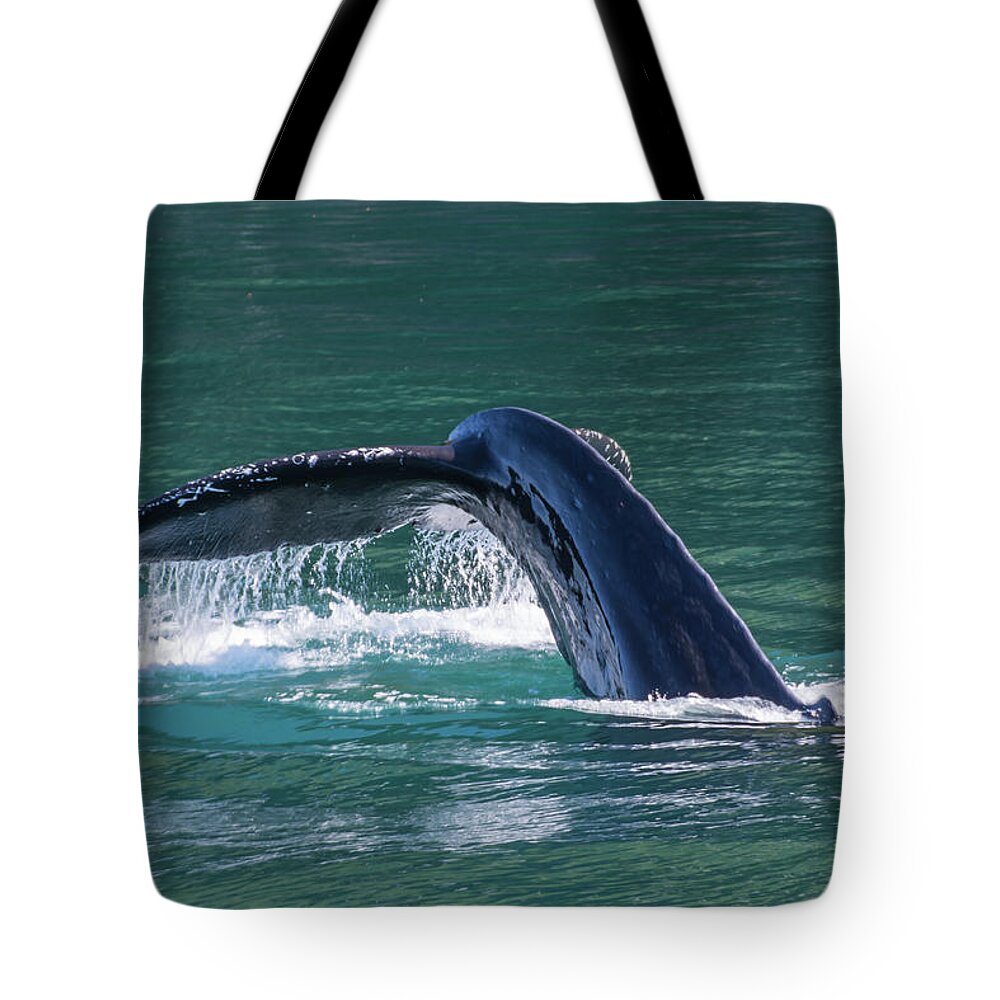 Humpback Tote Bag featuring the photograph Baby Whale Tail by David Kirby