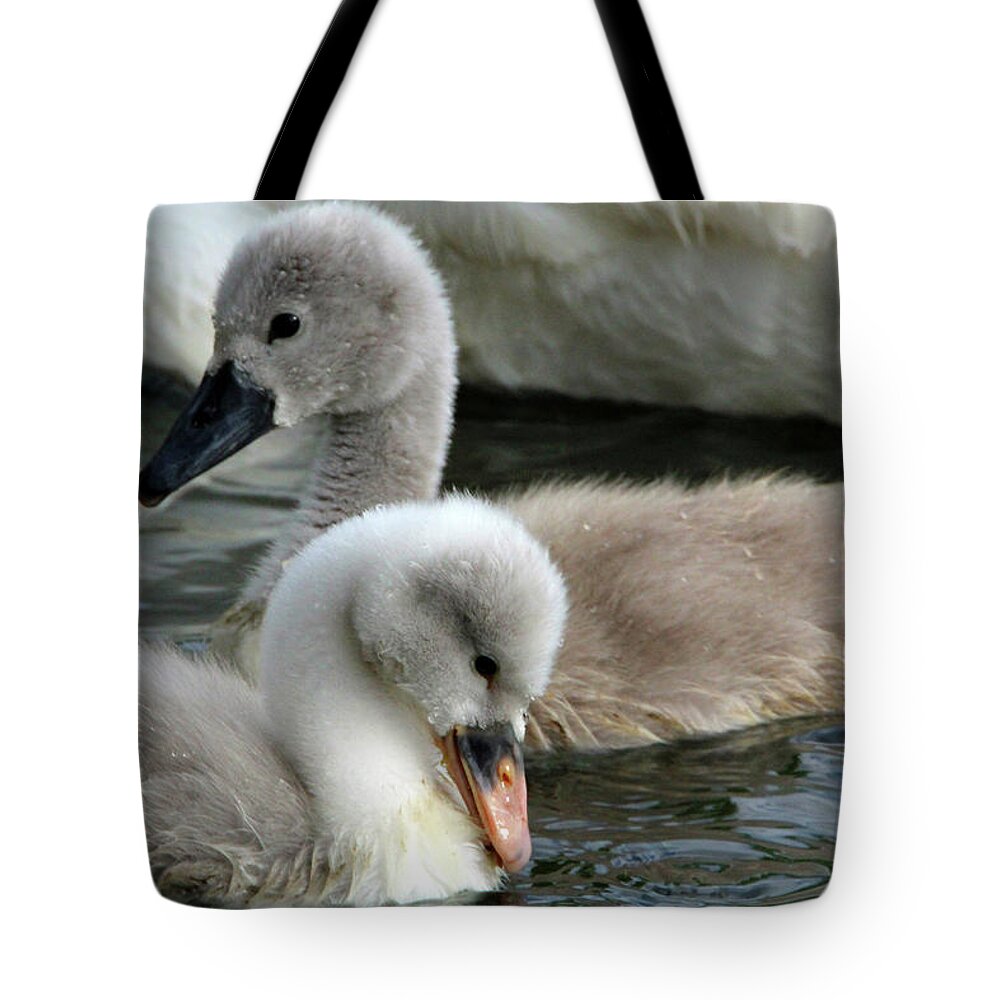 Wildlife Tote Bag featuring the photograph Babys by David Stasiak