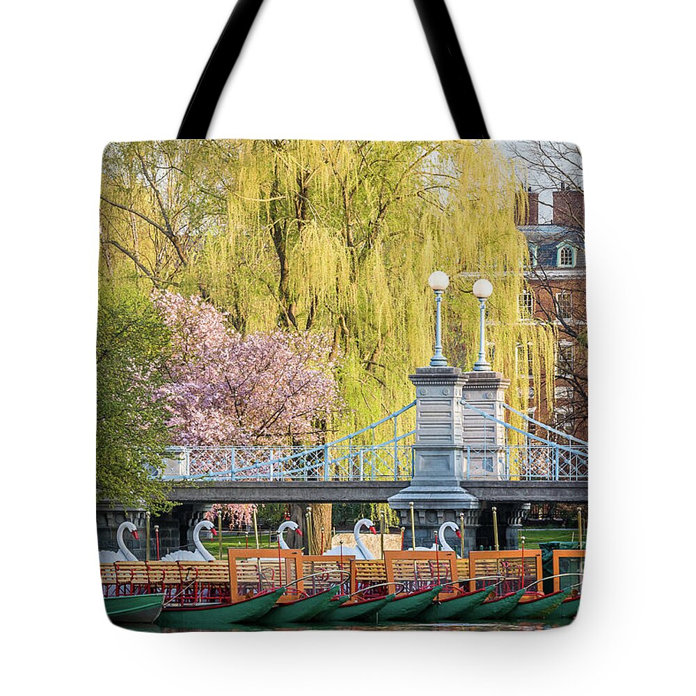 Back Bay Tote Bag featuring the photograph Back Bay Swans by Susan Cole Kelly