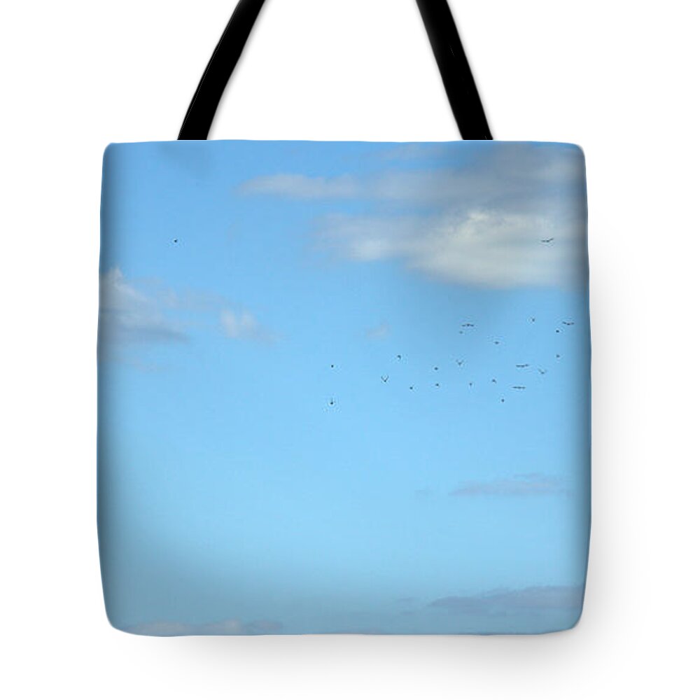 Back Door View Tote Bag featuring the photograph Back Door View by Edward Smith