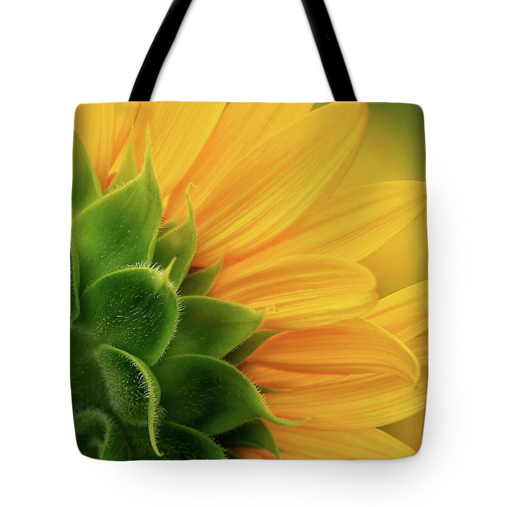 Back View Of Sunflower Tote Bag featuring the photograph Back view of sunflower by Carolyn Derstine
