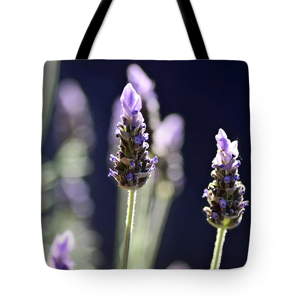 Backlit Lavender Tote Bag featuring the photograph Backlit Lavender by Kaye Menner by Kaye Menner