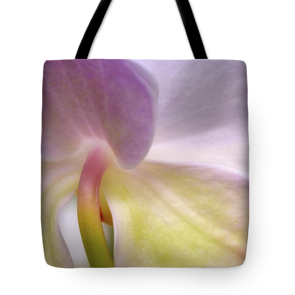Orchids Tote Bag featuring the photograph Backlit Orchid by Michael Hubley