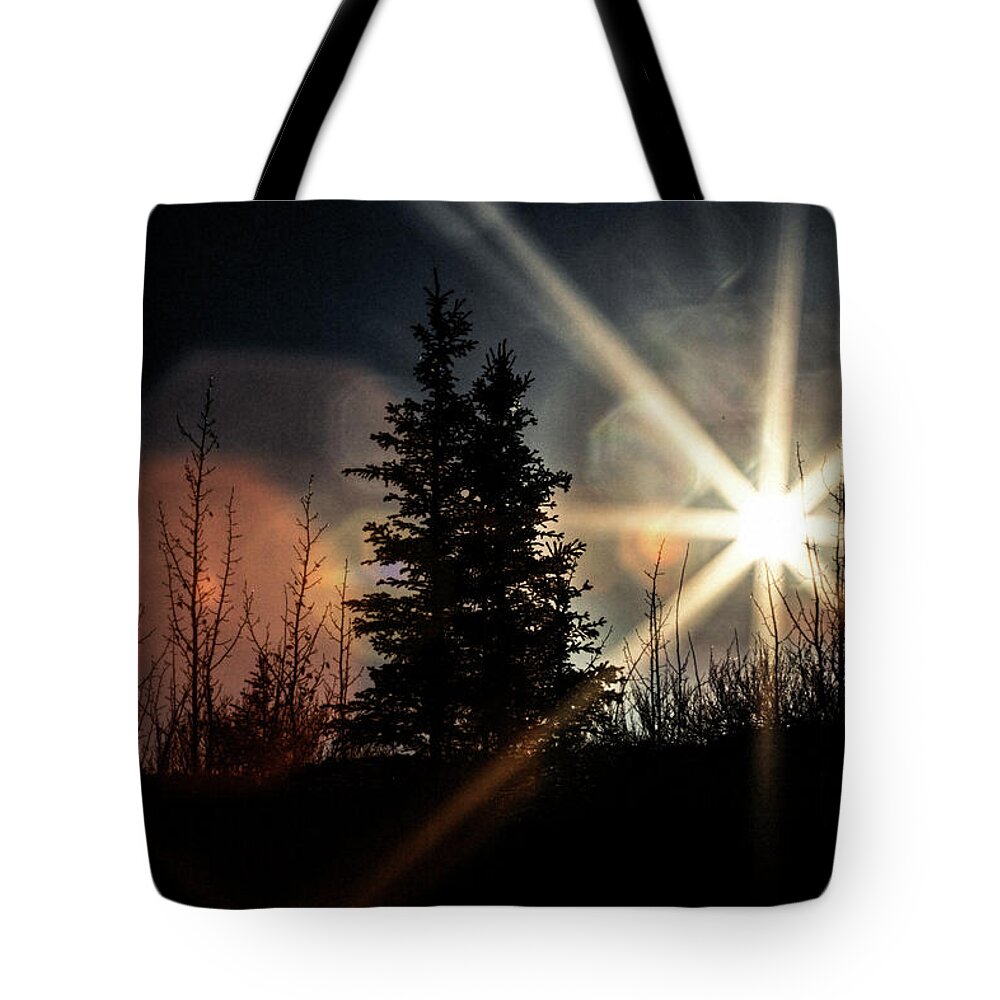 Nature Tote Bag featuring the photograph Backlit Spruce by Fred Denner