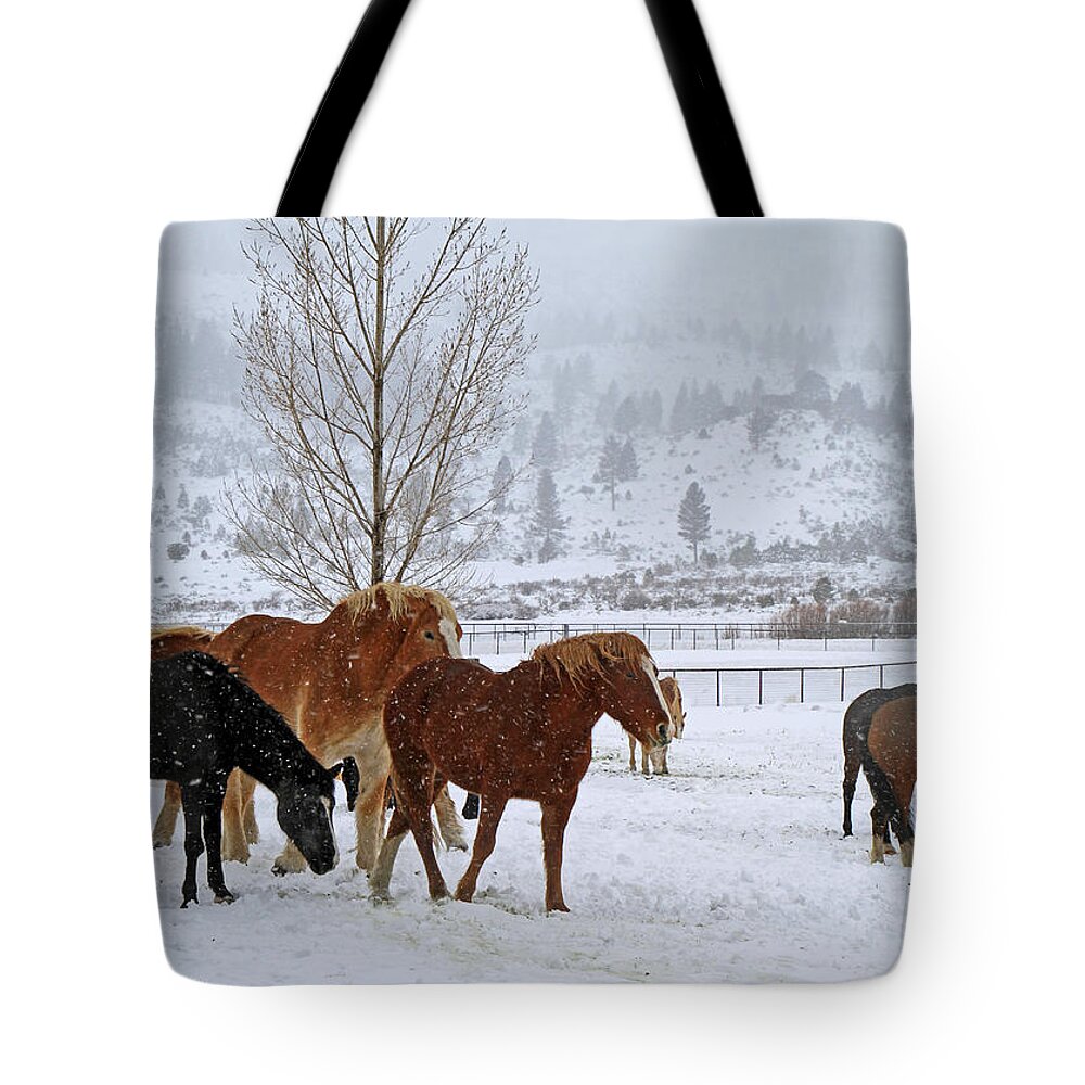 Horses Tote Bag featuring the photograph Backs to the Wind by Donna Kennedy