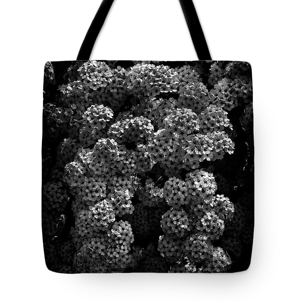 Brian Carson Tote Bag featuring the photograph Backyard Flowers In Black And White 21 by Brian Carson