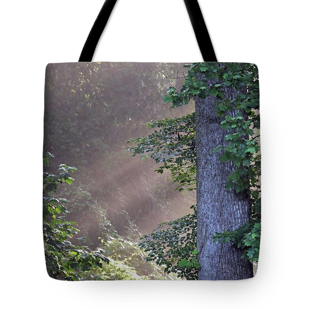 Tree Tote Bag featuring the photograph Backyard Forest Atlanta by Lizi Beard-Ward